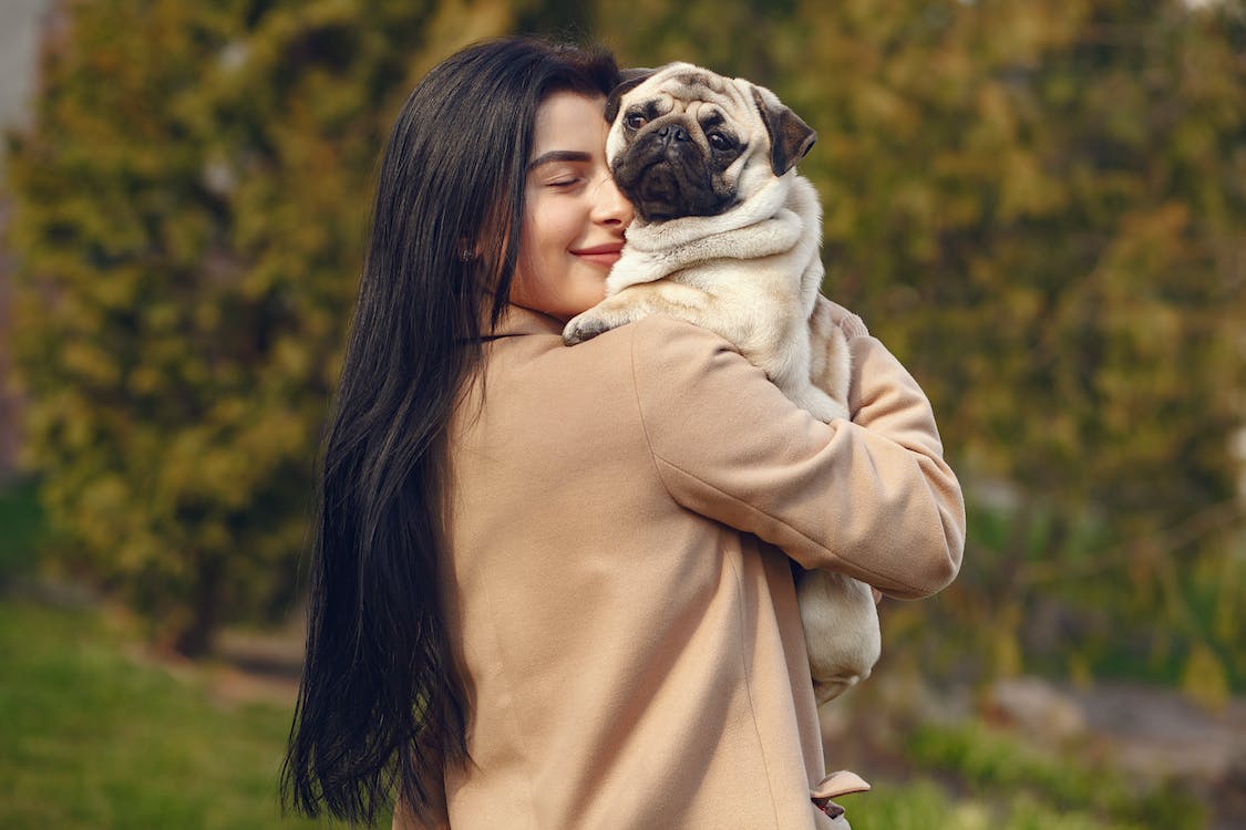 Take Care of Your Pet During This Summer