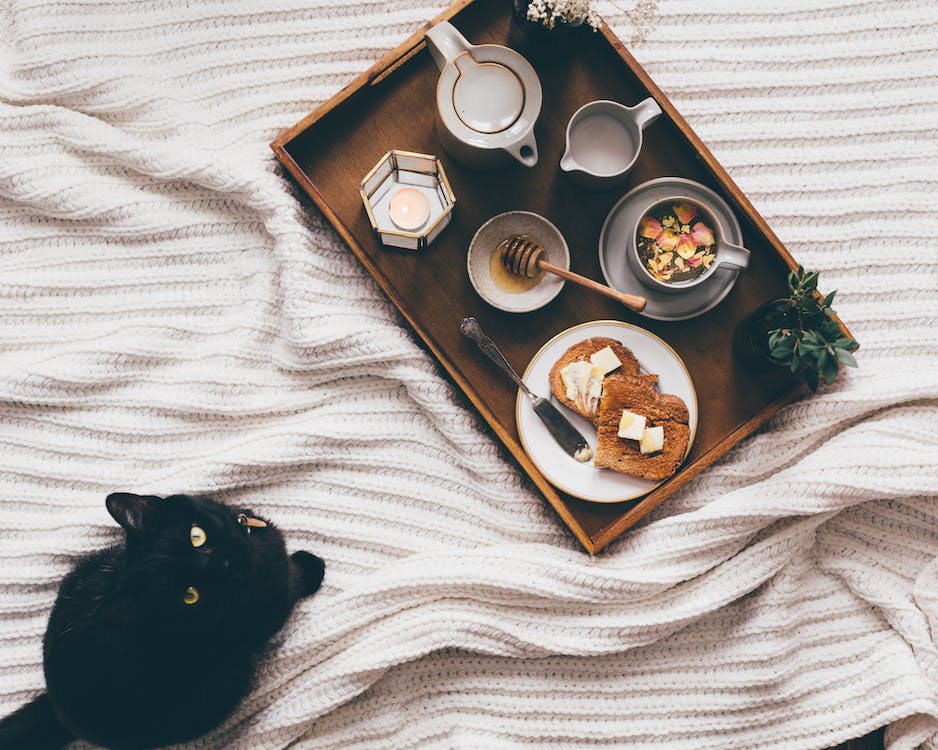How to Choose the Best Food for Your Pet