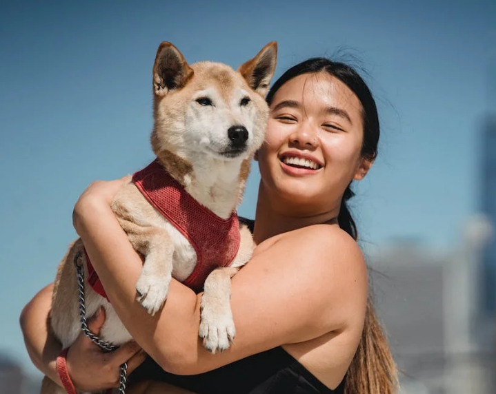 Essential Daily Tips for Keep Dog Healthy