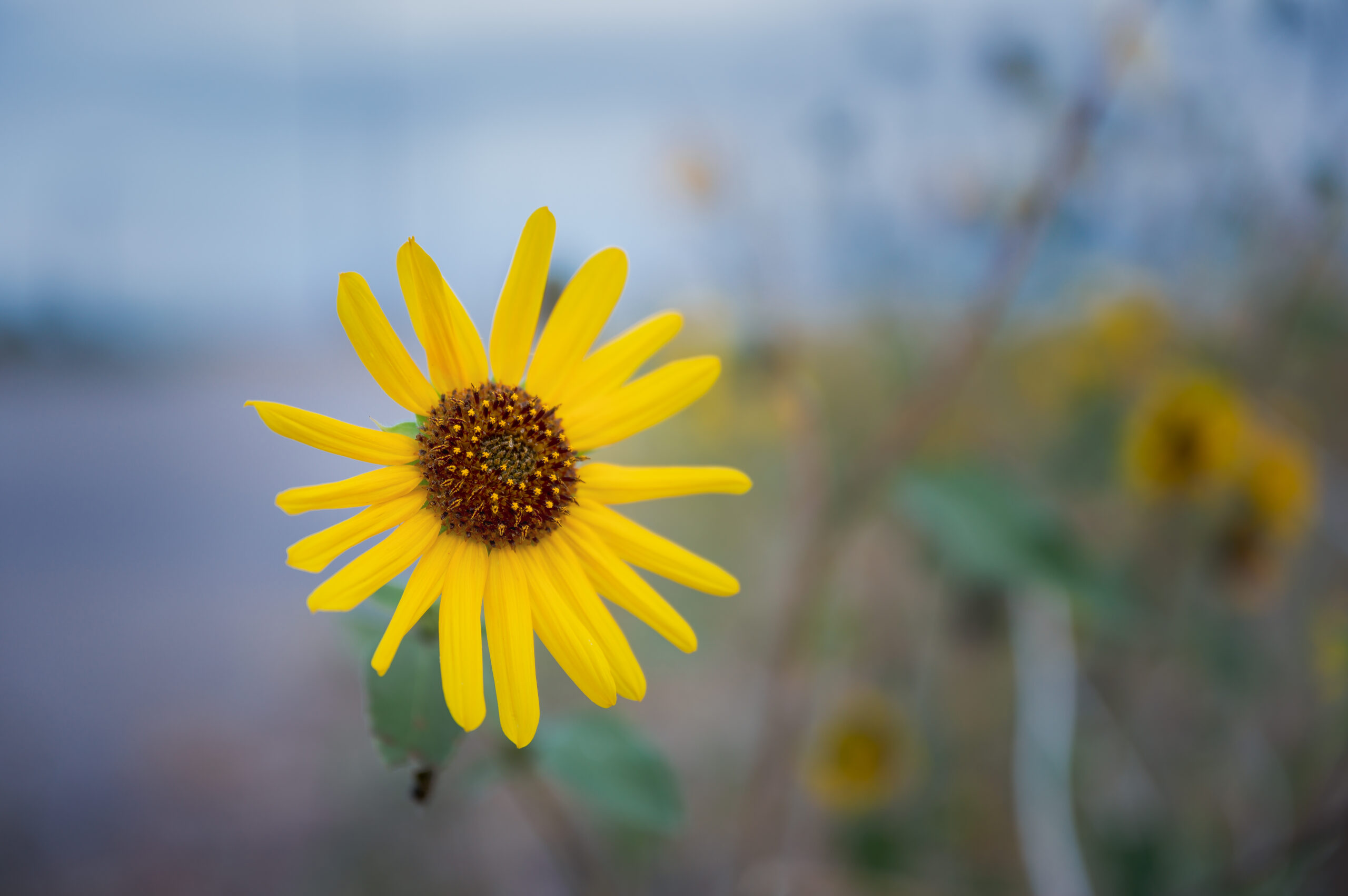 Refresh Your Life This Spring Aligning Growth with the Season