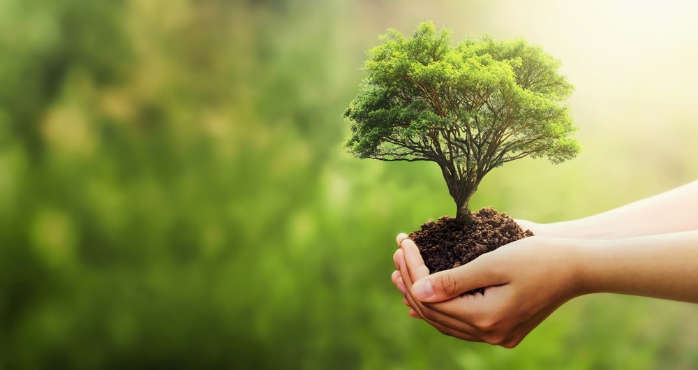 Restoring Balance in a Changing World