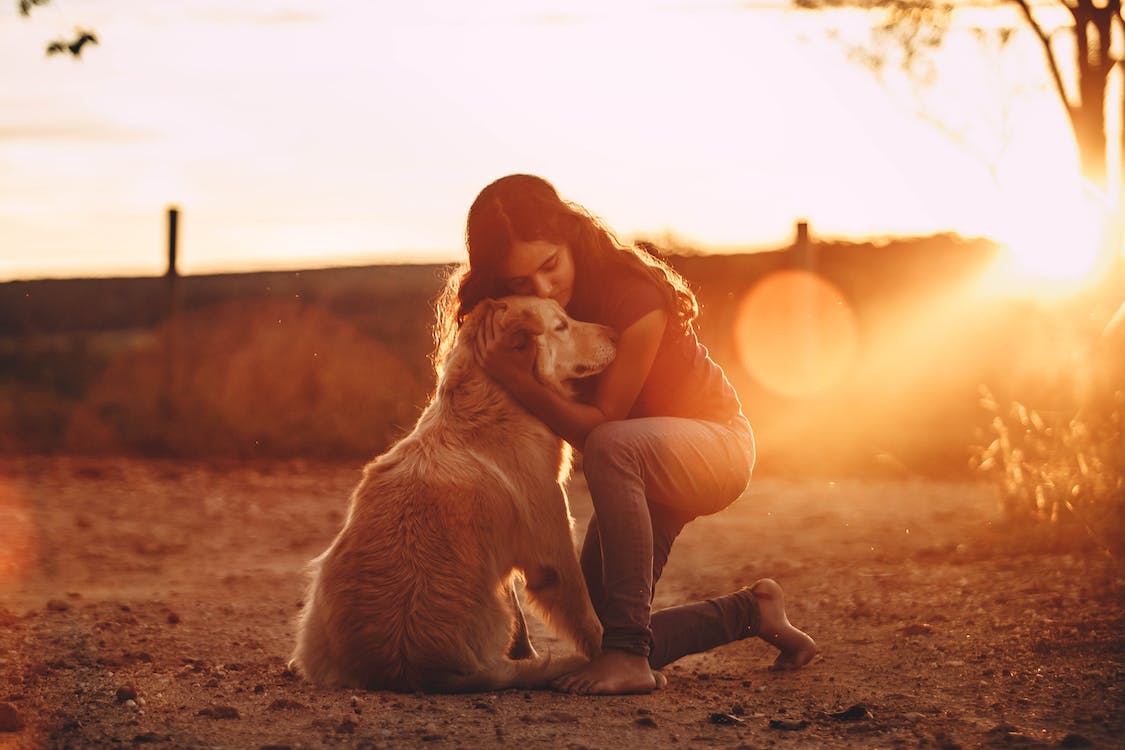 Decoding Feline Behavior and Communication