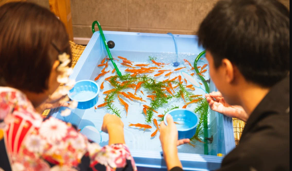 Perfect Fish Aquarium