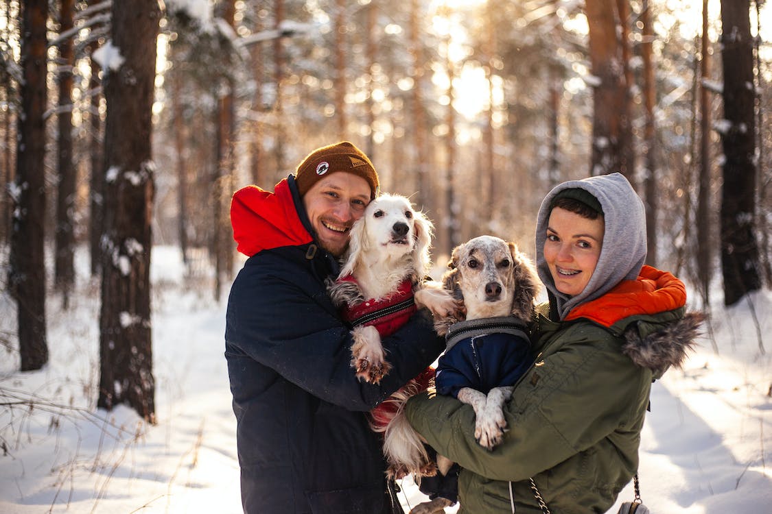 A Guide to Keeping Your Pets Cozy and Healthy During the Chilly Season
