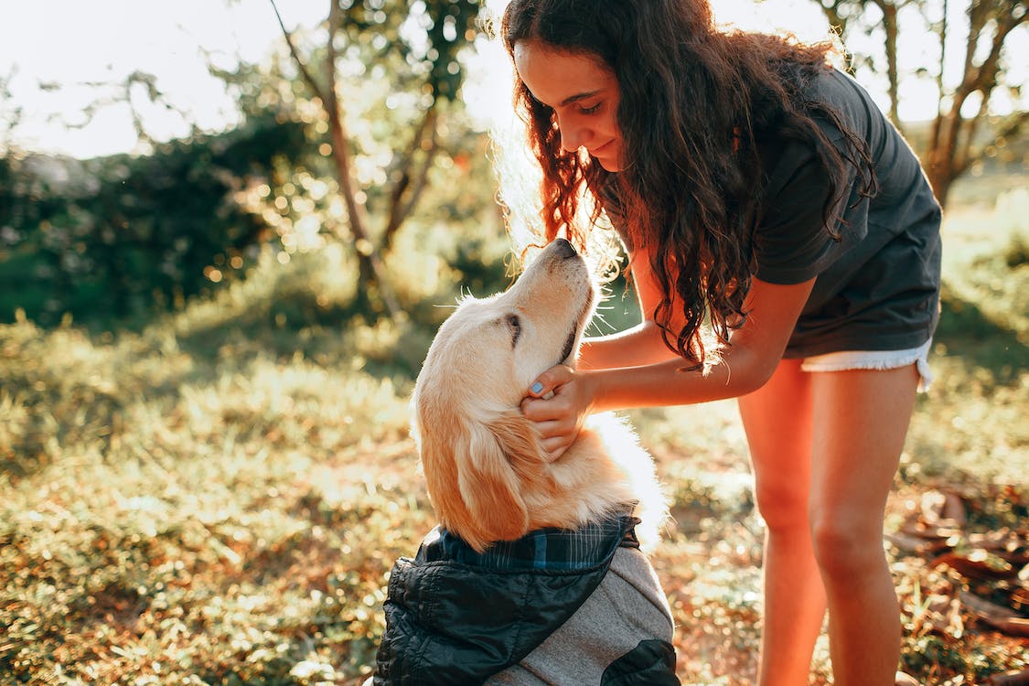 The Growing Popularity of Pet Therapy