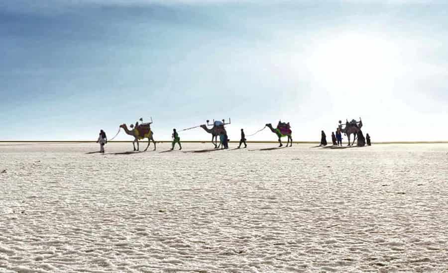 Rann Utsav