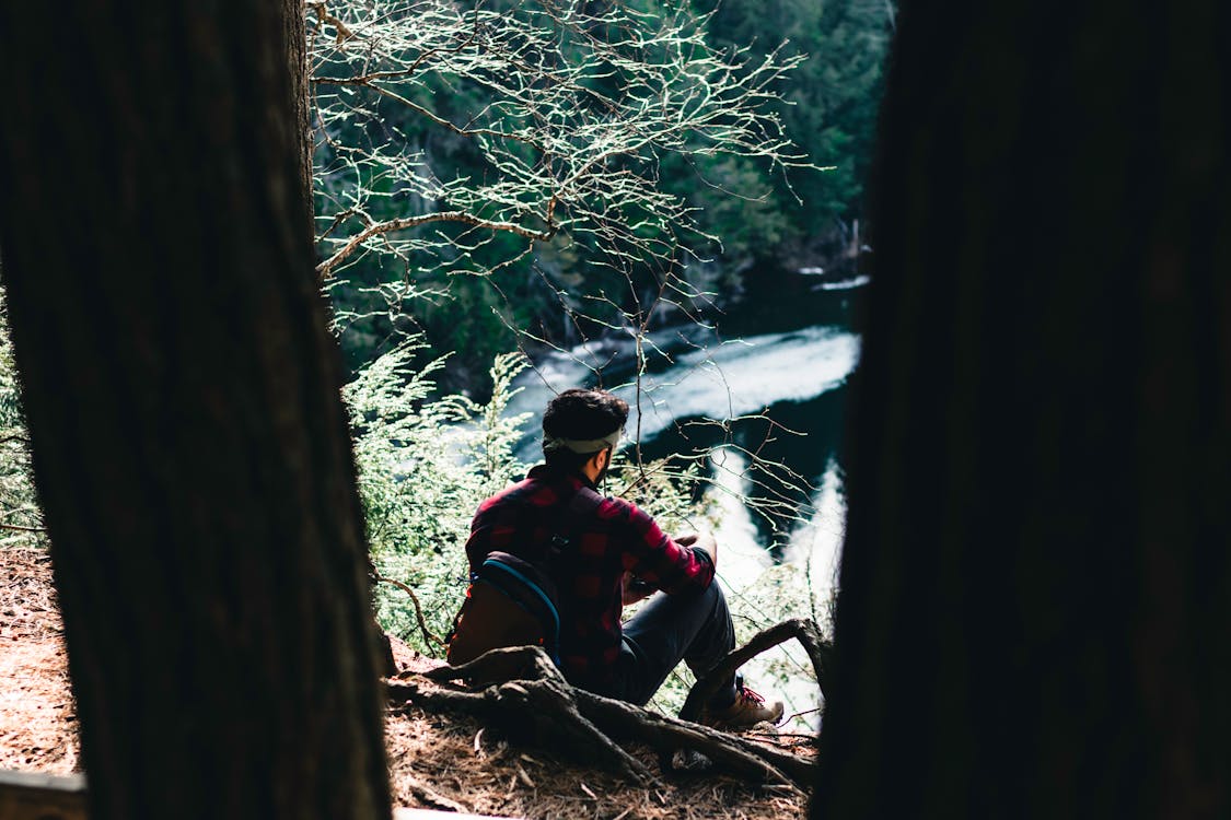 Hidden Gems in National Parks, Best Wildlife Safaris, and Tips for Responsibly Exploring Nature Reserves