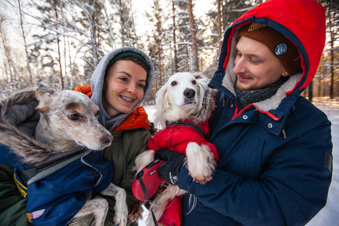 Take Care of Your Pets During This Winter