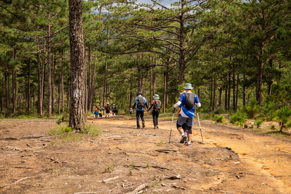 Eco-Friendly Travel Destinations