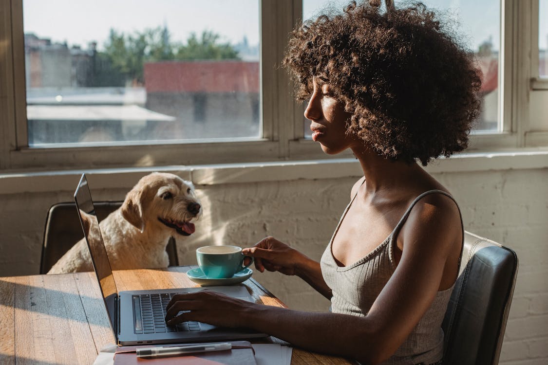 Pet Famous Online