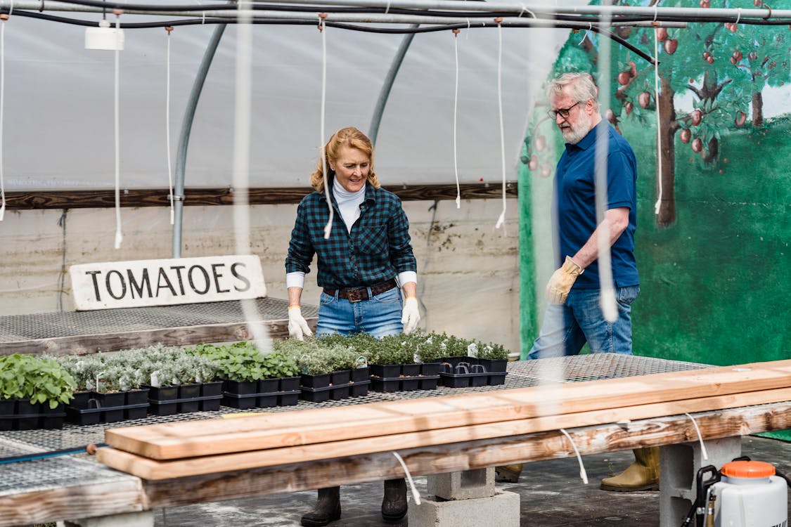 Start-ups Can Adopt Eco-Friendly