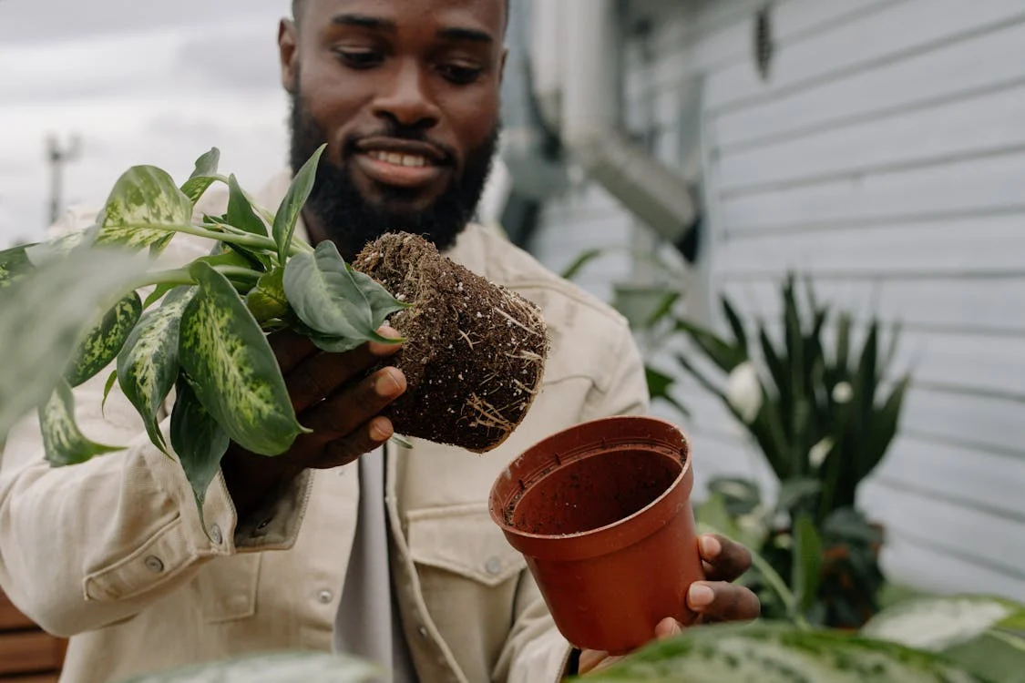 Urban Gardening