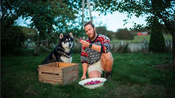 Organic Pet Food