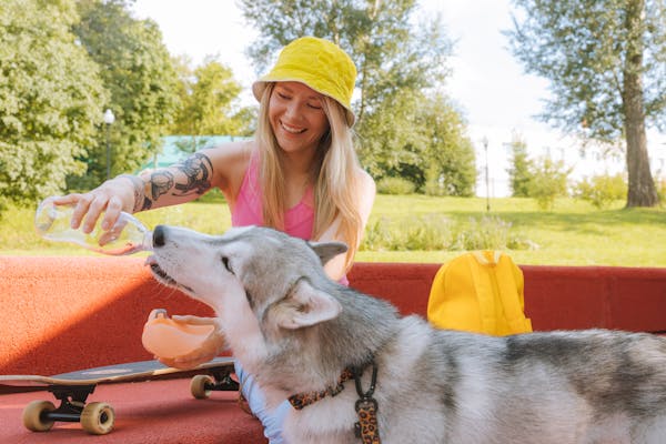 Summer Hydration Tips for Pets