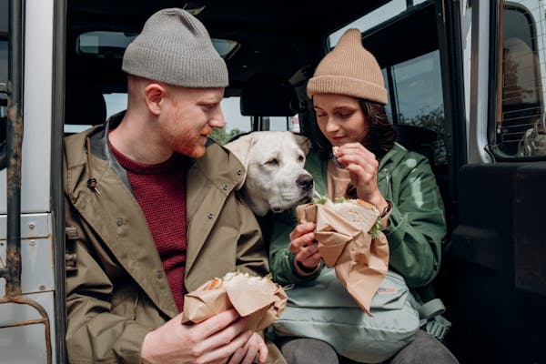 Natural vs. Processed Pet Food